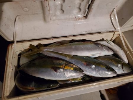 bay style 釣果