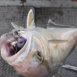 ブルースフィッシングサービス 釣果