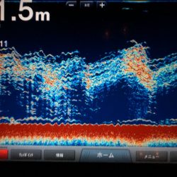 Chase(チェイス) 釣果