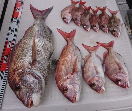 遊漁船 家入 釣果