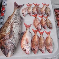 遊漁船 家入 釣果