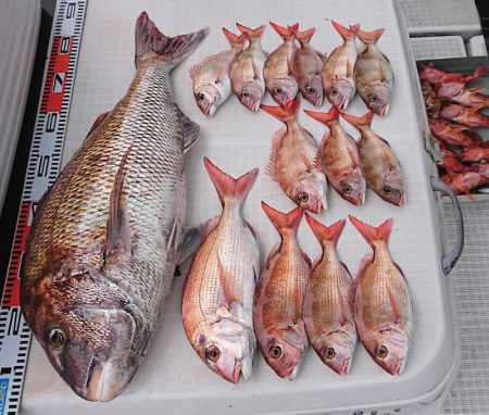 遊漁船 家入 釣果