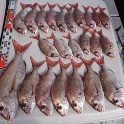 遊漁船　家入 釣果