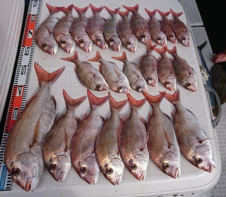 遊漁船　家入 釣果