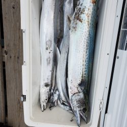 サンマリン 釣果