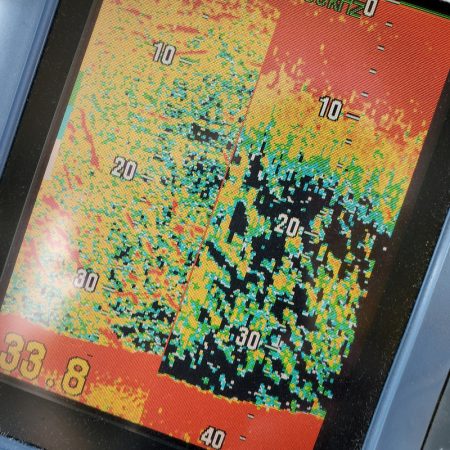 サンマリン 釣果