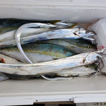 サンマリン 釣果