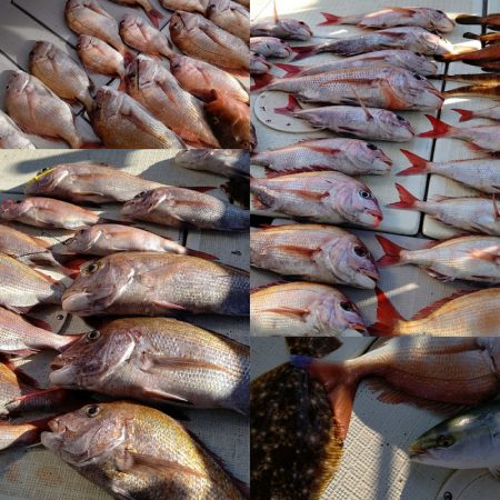 タイラバ遊漁船 ワンピース 釣果