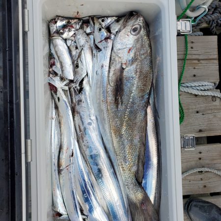 サンマリン 釣果