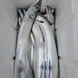 サンマリン 釣果