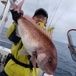 シーライオン 釣果