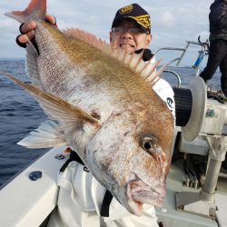 シーライオン 釣果