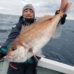 シーライオン 釣果