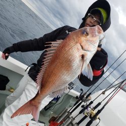 シーライオン 釣果