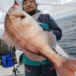 シーライオン 釣果