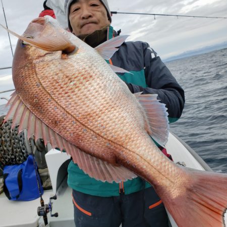 シーライオン 釣果