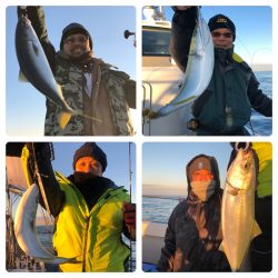 ビッグファイター 釣果