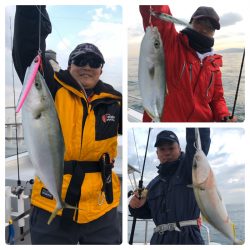 ビッグファイター 釣果