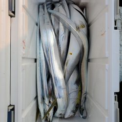 サンマリン 釣果