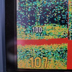 サンマリン 釣果