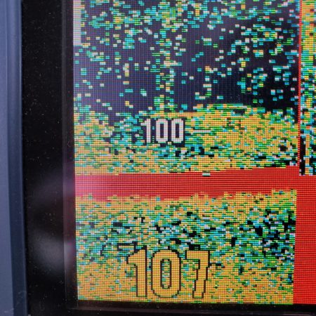 サンマリン 釣果