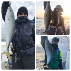 ビッグファイター 釣果