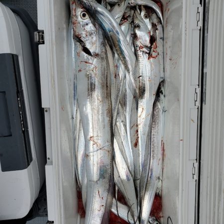 サンマリン 釣果