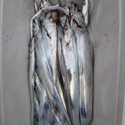 サンマリン 釣果