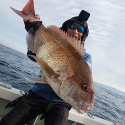 シーライオン 釣果