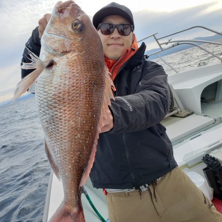 シーライオン 釣果