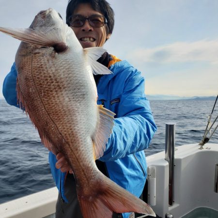 シーライオン 釣果