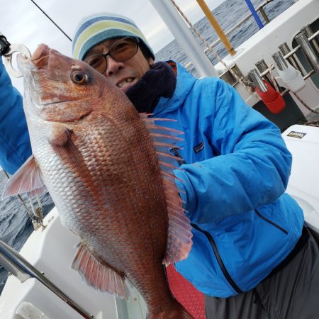 シーライオン 釣果
