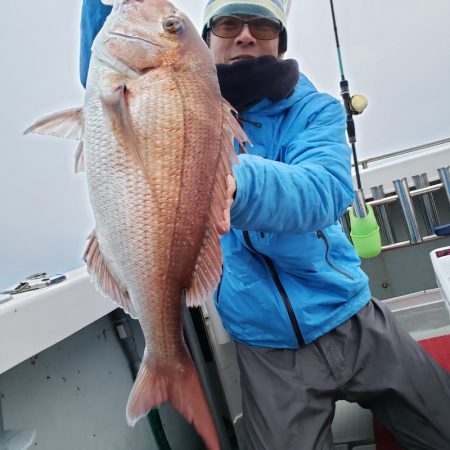 シーライオン 釣果