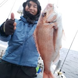 シーライオン 釣果