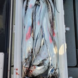 サンマリン 釣果