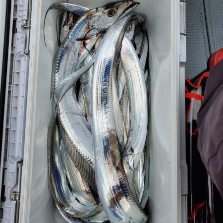 サンマリン 釣果