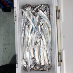 フィッシング キッタカ 釣果