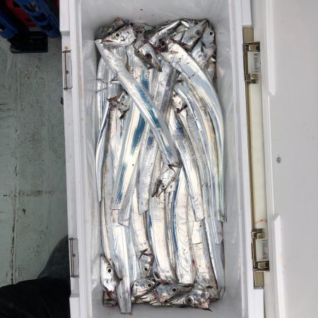 フィッシング キッタカ 釣果