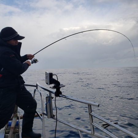 シーライオン 釣果