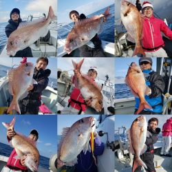 シーライオン 釣果