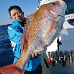 シーライオン 釣果