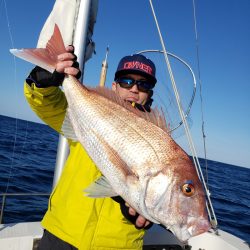 シーライオン 釣果