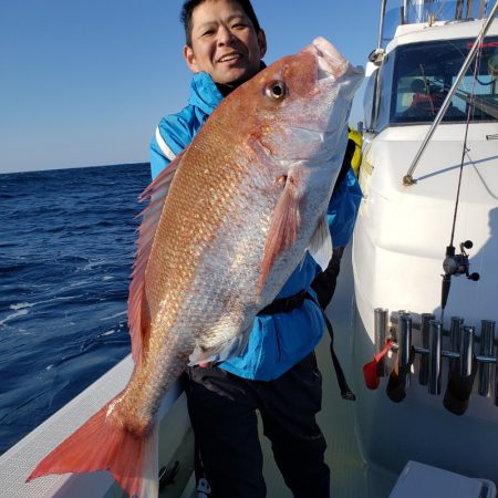シーライオン 釣果