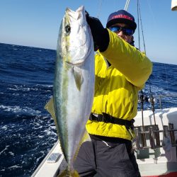 シーライオン 釣果