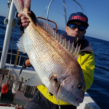 シーライオン 釣果