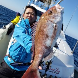 シーライオン 釣果