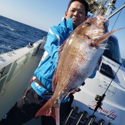 シーライオン 釣果