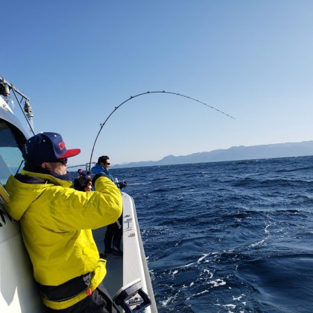 シーライオン 釣果