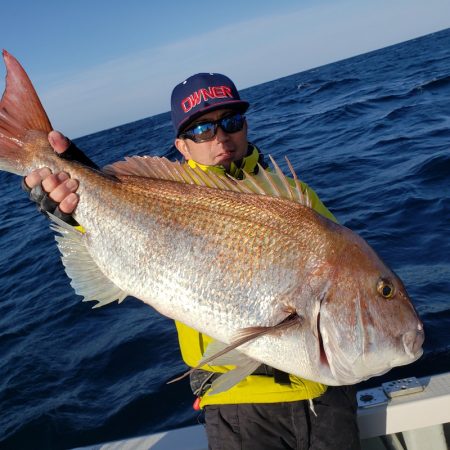 シーライオン 釣果