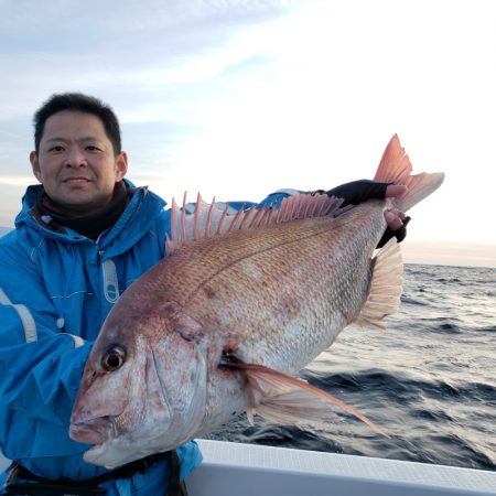 シーライオン 釣果